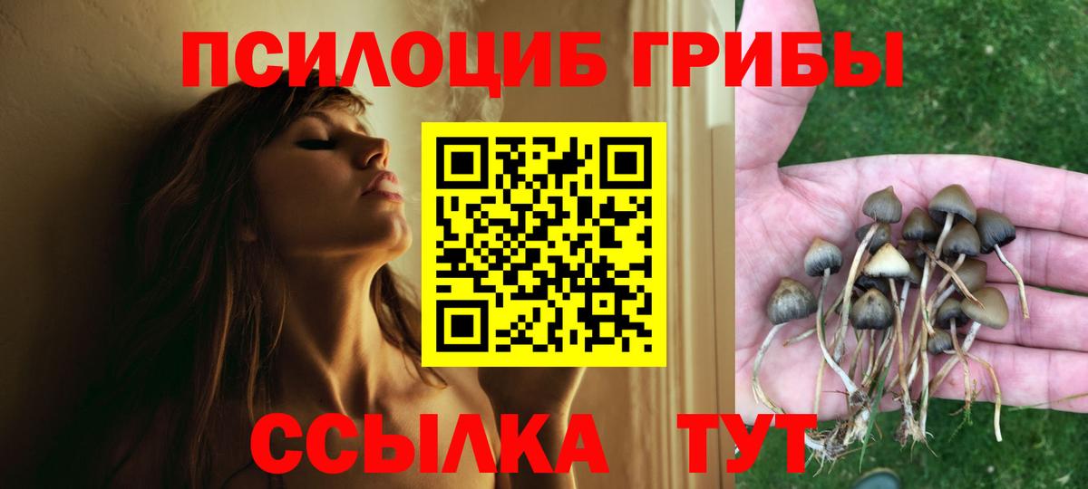 Псилоцибиновые грибы мицелий Мариинск